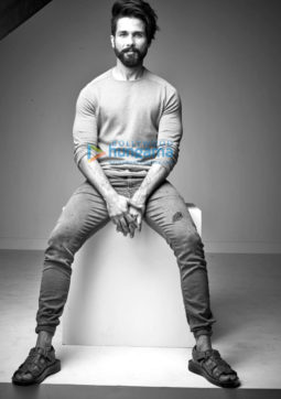 Celebrity Photo Of Shahid Kapoor
