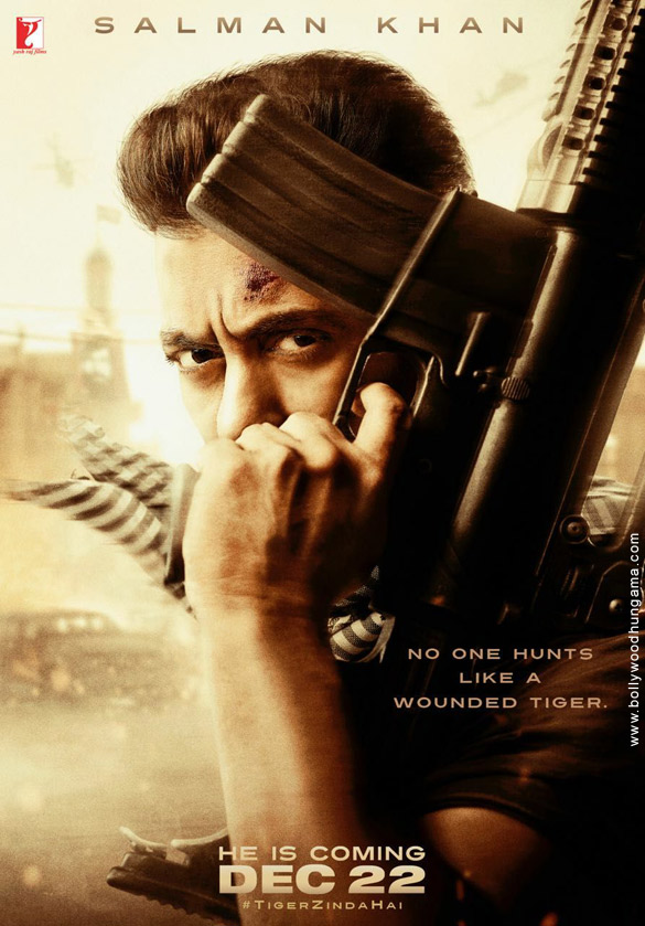 tiger zinda hai 30