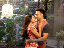 Movie Stills From The Movie Fukrey Returns