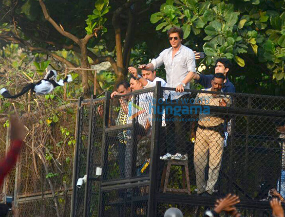 shah rukh khan waves to fans from mannat on his 52nd birthday 2