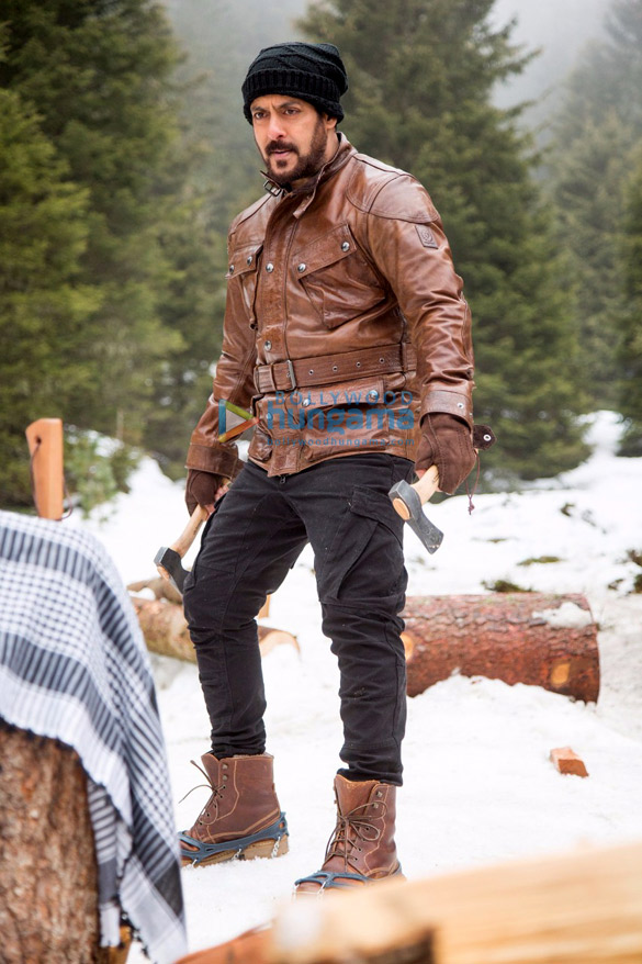 tiger zinda hai 43