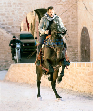 Movie Stills Of The Movie Tiger Zinda Hai