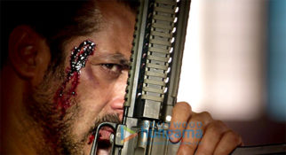 Movie Stills Of The Movie Tiger Zinda Hai