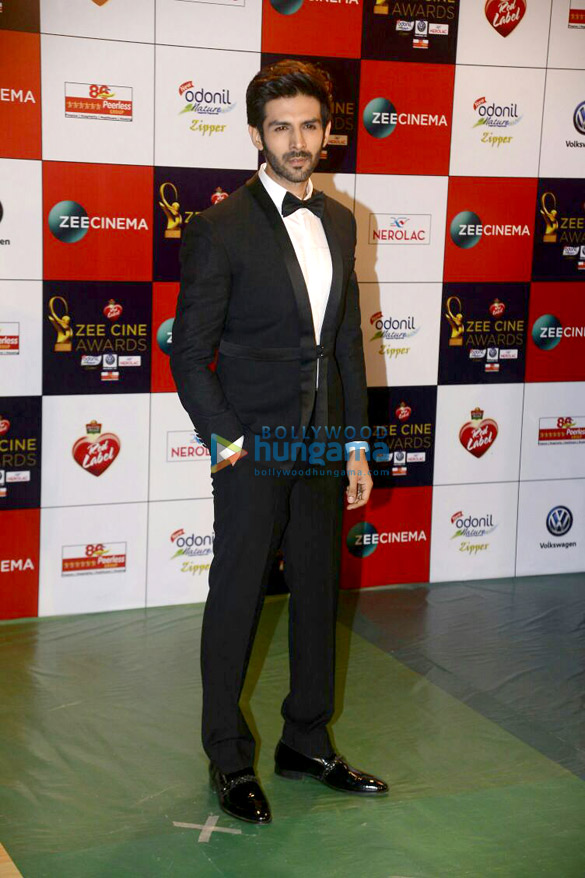 celebs grace the red carpet of zee cine awards 2017 1 6
