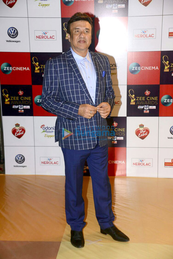 celebs grace the red carpet of zee cine awards 2017 more 10