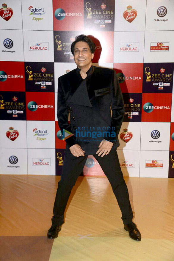 celebs grace the red carpet of zee cine awards 2017 more 8