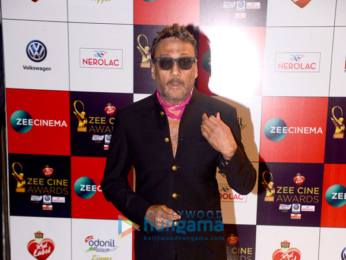 Celebs grace the red carpet of Zee Cine Awards 2018