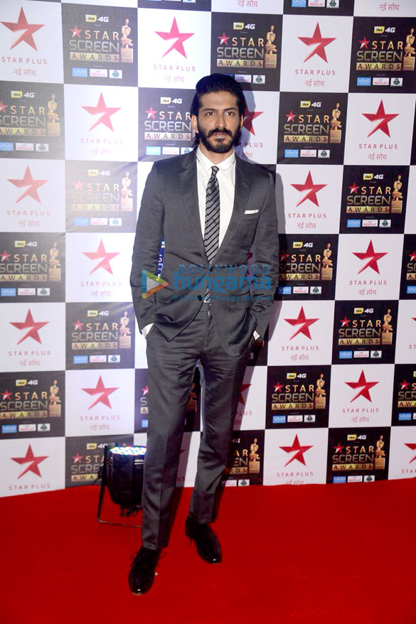 celebs walk the red carpet of star screen awards 2017 12