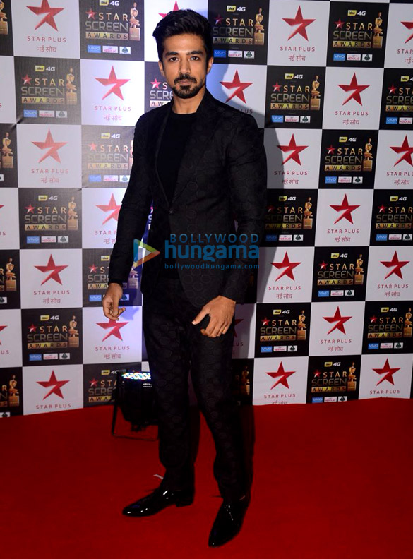 celebs walk the red carpet of star screen awards 2017 17