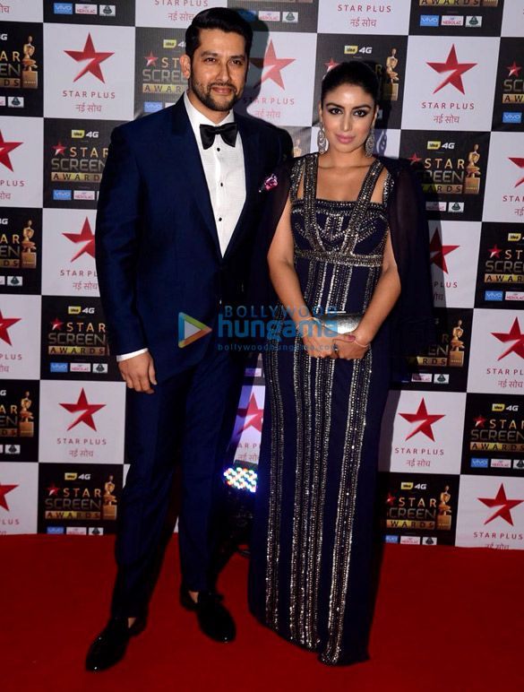 celebs walk the red carpet of star screen awards 2017 23