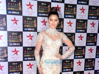 Celebs walk the red carpet of Star Screen Awards 2017