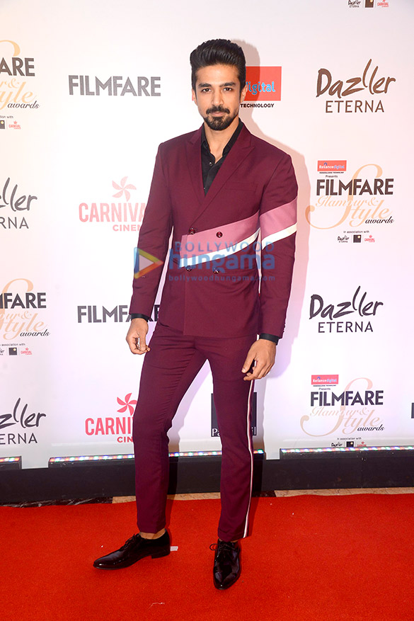 Filmfare Glamour and Style Awards 2017 (8)