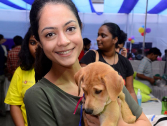 Kunal Khemu, Soha Ali Khan and others at Adoptathon