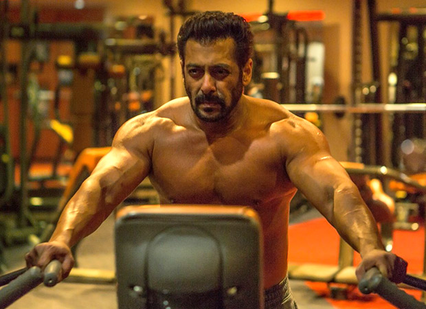 Tiger-Zinda-Hai-(17)