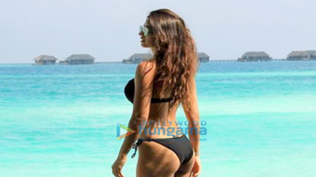 Celebrity Photo Of Disha Patani