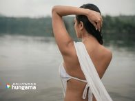 Celebrity wallpaper of Malavika Mohanan