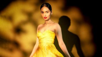 Celeb Wallpapers Of Manushi Chhillar