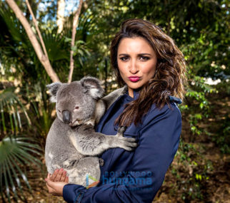 Celeb Photos Of Parineeti Chopra