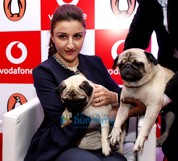 Soha Ali Khan graces a reading session of her book ‘Moderately Famous’ at the Vodafone gallery Soha Ali Khan graces a reading session of her book ‘Moderately Famous’ at the Vodafone gallery