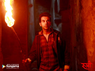 Wallpapers Of The Movie Stree