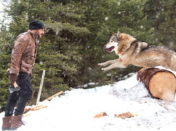 Box Office: Tiger Zinda Hai Day 33 in overseas