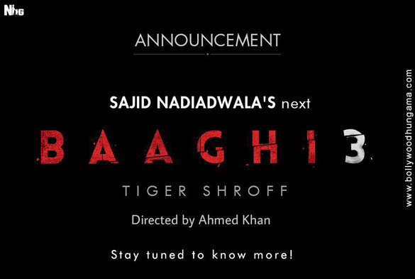 baaghi 3 3