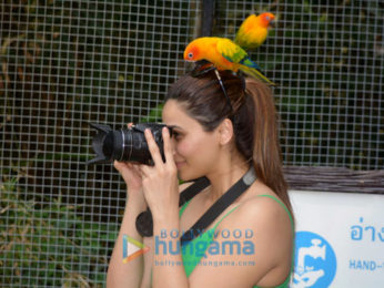 Daisy Shah snapped visiting the Bangkok Zoo