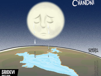 Bollywood Toons: RIP Chandni! Bollywood Toons: RIP Chandni!