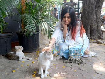 Adah Sharma spotted at a cafe