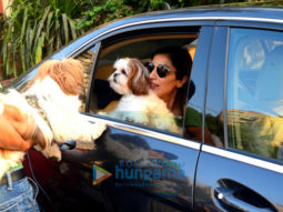 Sophie Choudry spotted with her pet at Bandstand