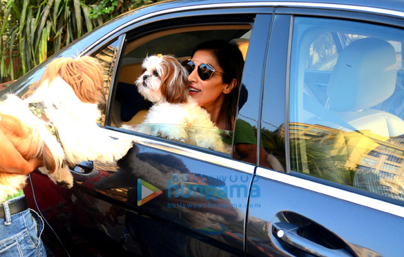 sophie choudry spotted with her pet at bandstand 5