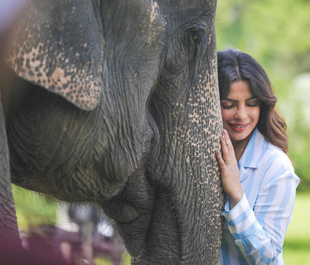 WATCH: Priyanka Chopra tries Bihu dance with local girls during her visit to Assam 