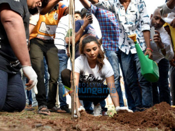 Jacqueline Fernandez, Juhi Chawla and Daisy Shah grance a tree plantation event on World Environment Day