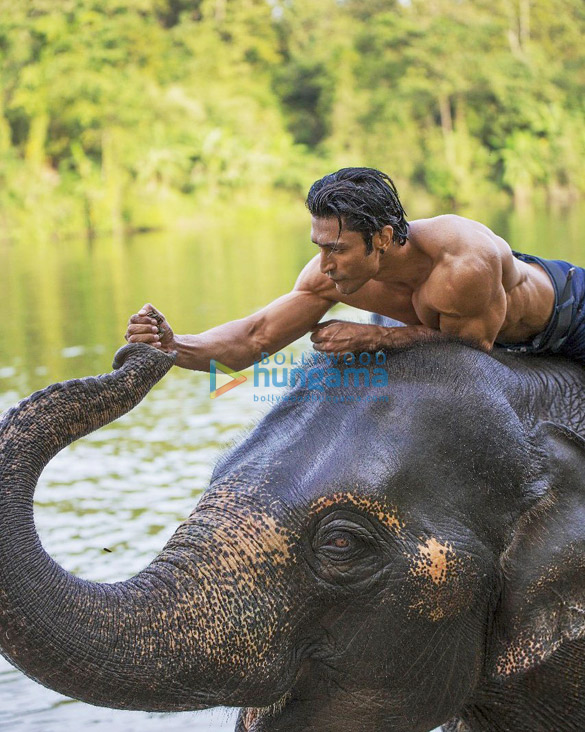 junglee 0012