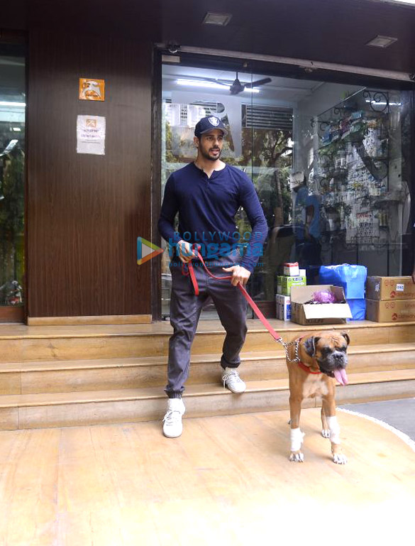 sidharth malhotra spotted at a dog hospital in bandra 5