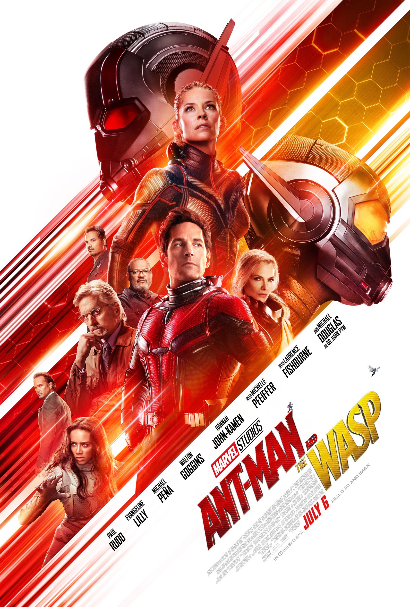 Paul Rudd and Evangeline Lilly to return in Ant-Man and The Wasp:  Quantumania; Kathryn Newton and Jonathan Majors join the cast : Bollywood  News - Bollywood Hungama