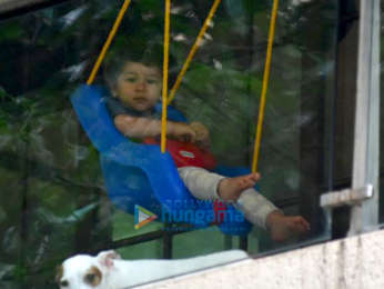 Taimur Ali Khan snapped on a swing