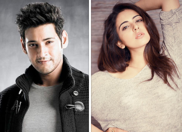 Will Mahesh Babu and Rakul Preet Singh come together again for this film