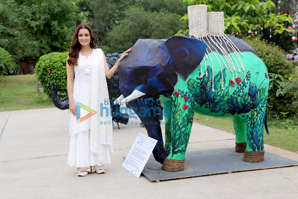 dia mirza graces for elephant day in delhi 5