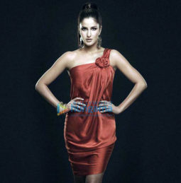 Celebrity Photo Of Katrina Kaif