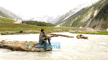 Movie Stills Of The Movie Laila Majnu