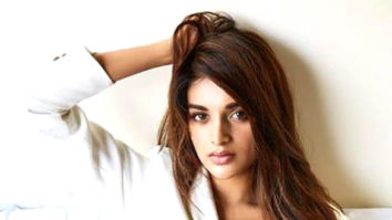 Celebrity Photos of Nidhhi Agerwal
