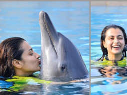 South actress Trisha Krishnan gets trolled over sharing pictures with Dolphin during her Dubai vacation