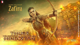 First Look Of Thugs of Hindostan