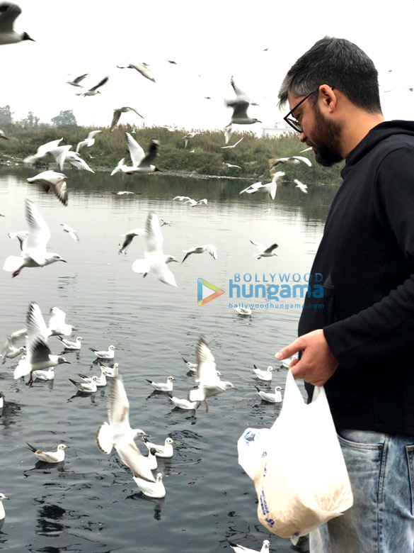 badhaai ho 006 13