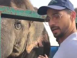 On World Animal Day, Sidharth Malhotra urges fans to adopt and provide basic needs to animals