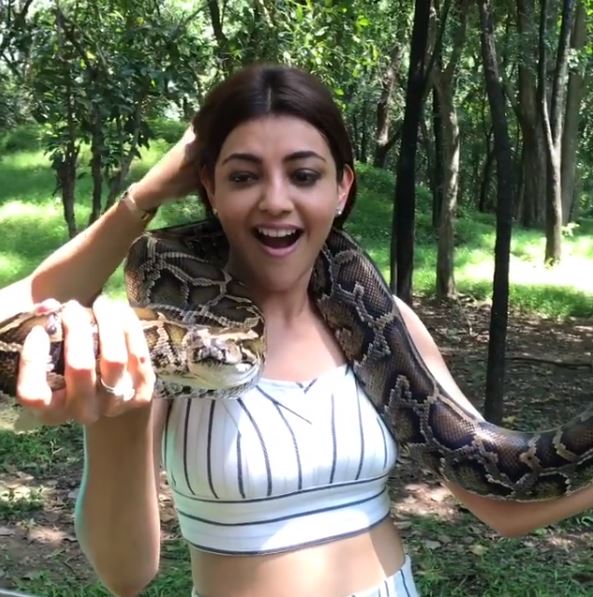 Paris Paris actress Kajal Aggarwal is enjoying her time in Thailand and the Queen actress’ daredevilry video will leave you surprised!