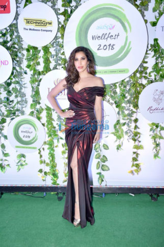 Sophie Choudry, Gauahar Khan, Ananya Pandey, Suniel Shetty and others the Wellfest awards 2018