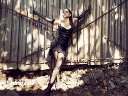 Celebrity wallpaper of Alaya F