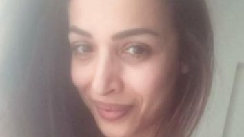 Malaika Arora drops a MASSIVE hint confirming her relationship with Arjun Kapoor (see pic)